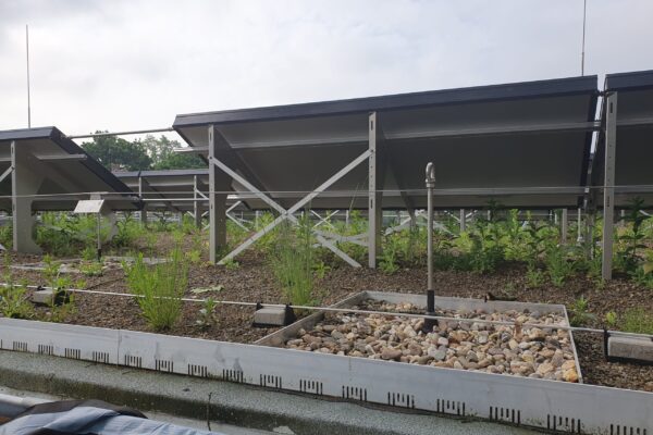 20230515_093605 20230515_093605