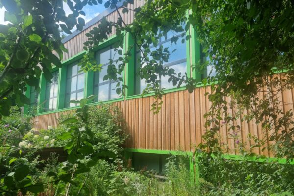 20250729_120947 20250729_120947