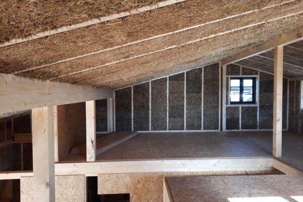 20241023_145135 20241023_145135