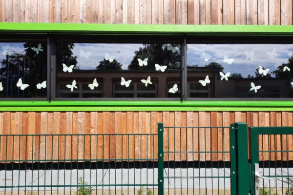 20250729_104040 20250729_104040