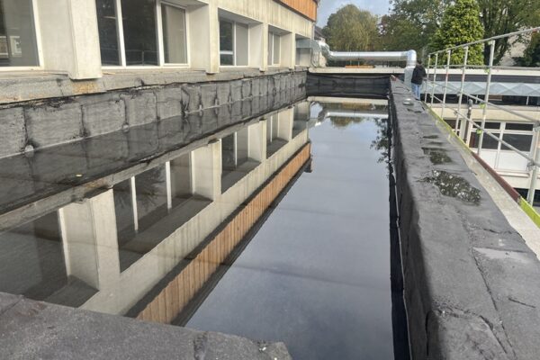 IMG_3340ws 020 005 02